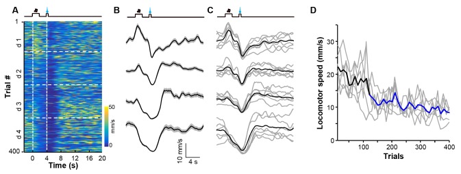 Figure 5—figure supplement 1.