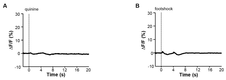 Figure 1—figure supplement 1.