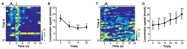 Figure 3—figure supplement 1.