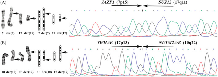 FIGURE 1