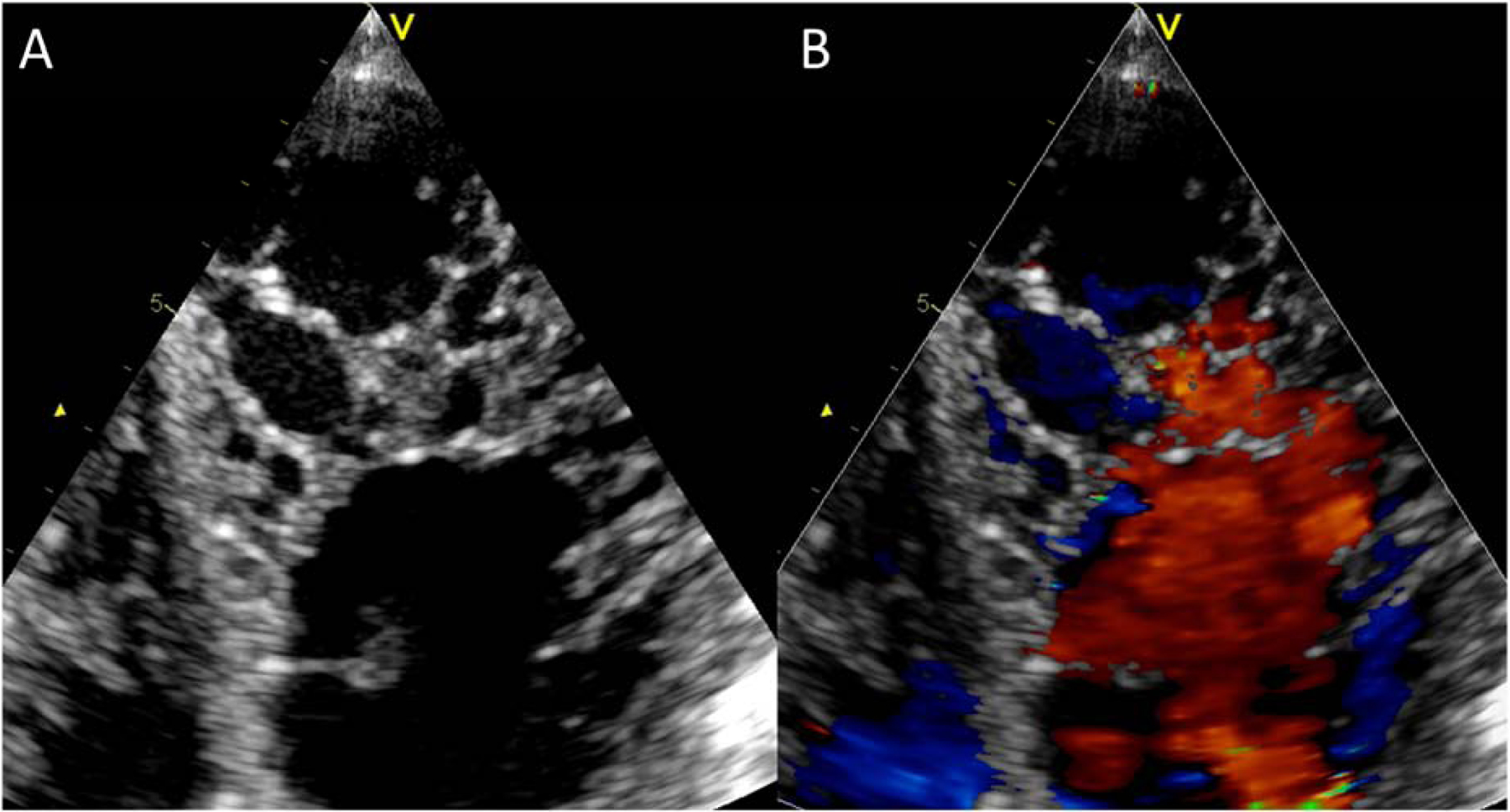 Figure 4.