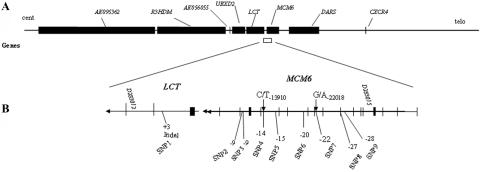 Figure  1. 