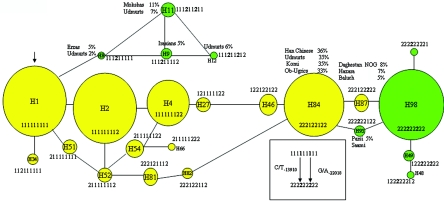 Figure  4. 