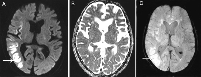 Figure 1