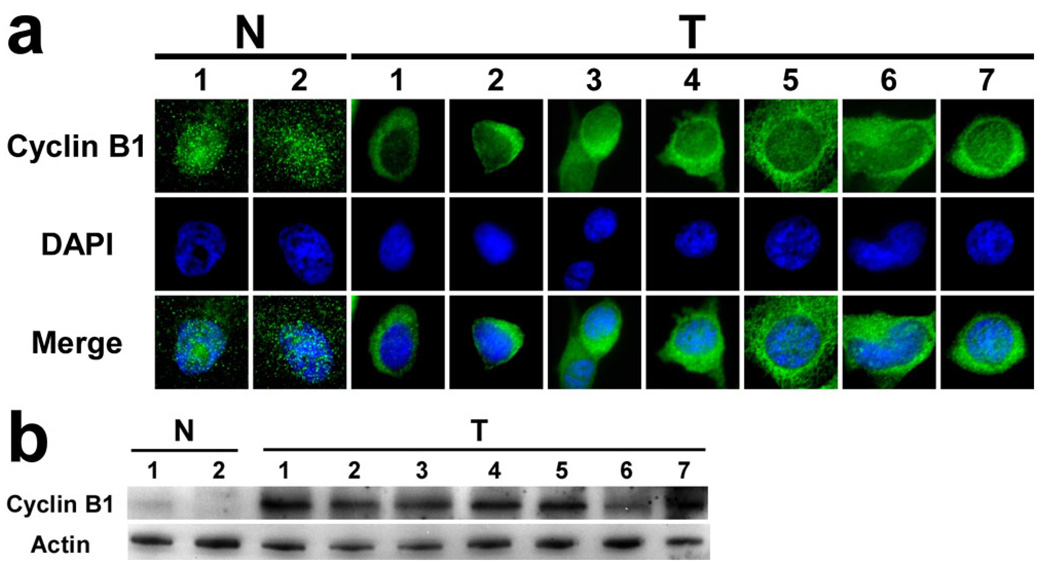 Fig 4