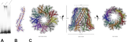 FIGURE 5.