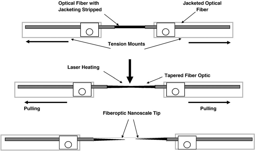 Fig. 1