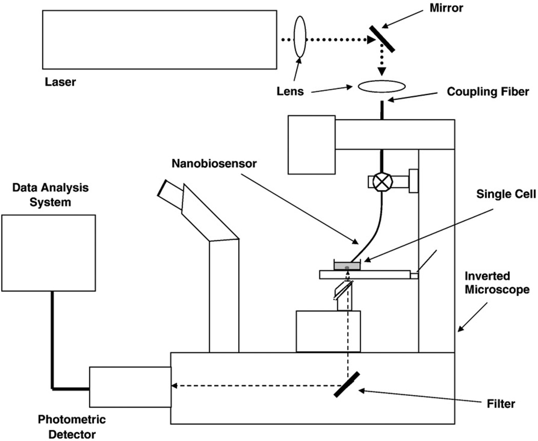 Fig. 4