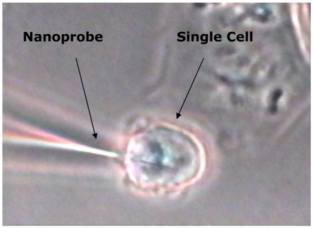 Fig. 5