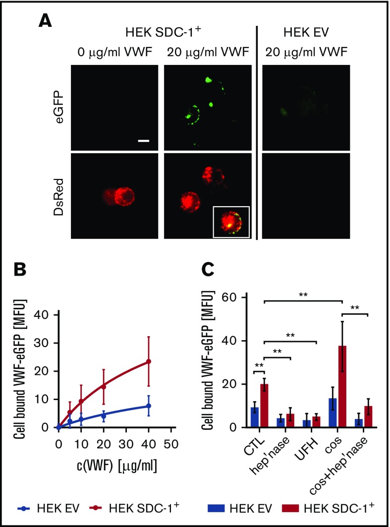 Figure 6.