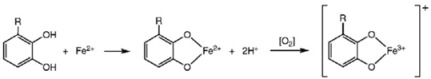 graphic file with name molecules-15-07313-i004.jpg