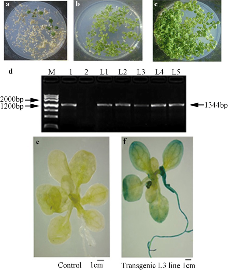 Fig. 3