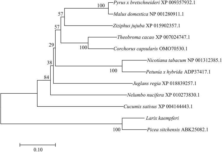 Fig. 2