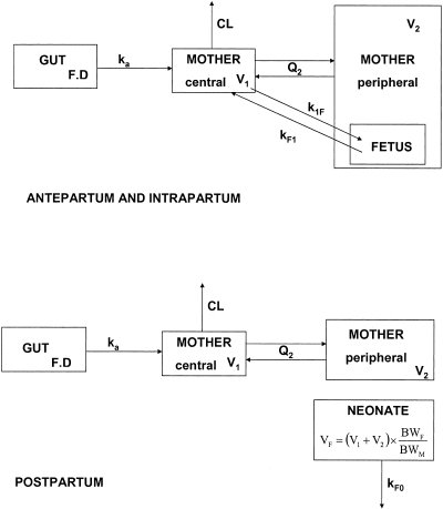 FIG. 1.