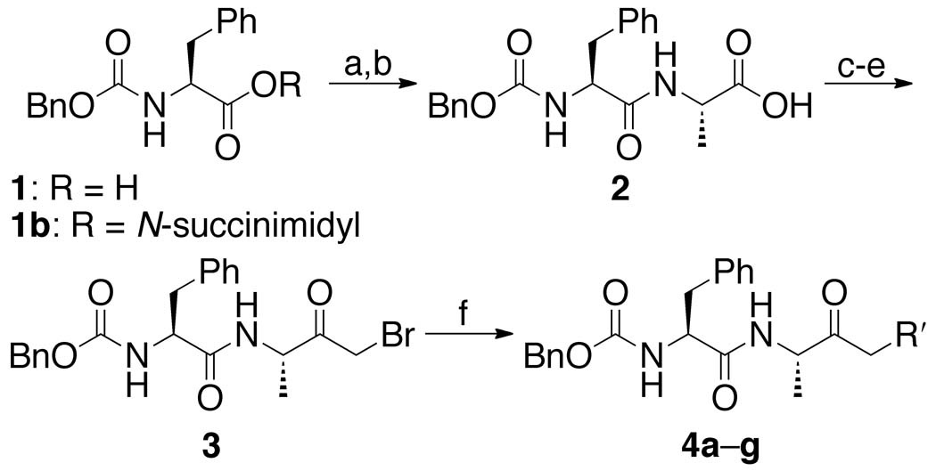 Scheme 1