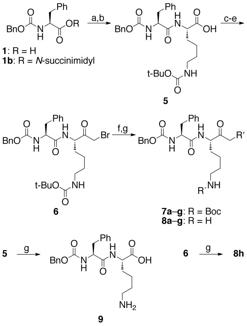 Scheme 2