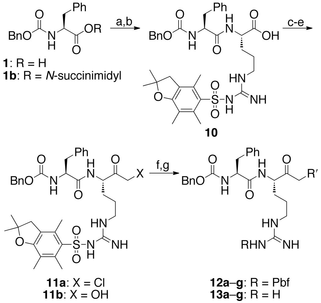 Scheme 3