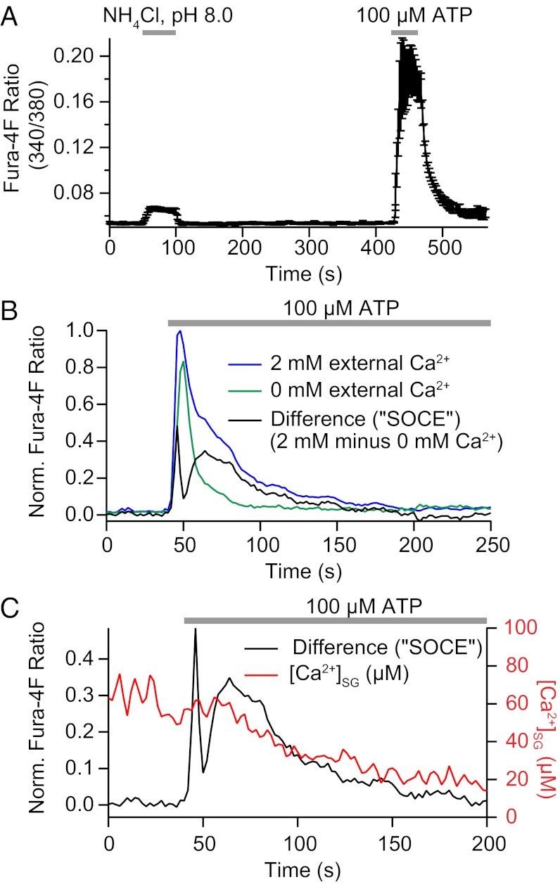 Fig. 4.