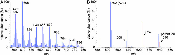 Fig. 5.