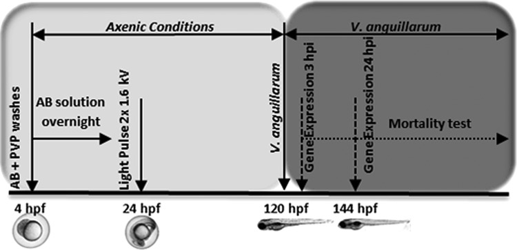 FIG. 2.