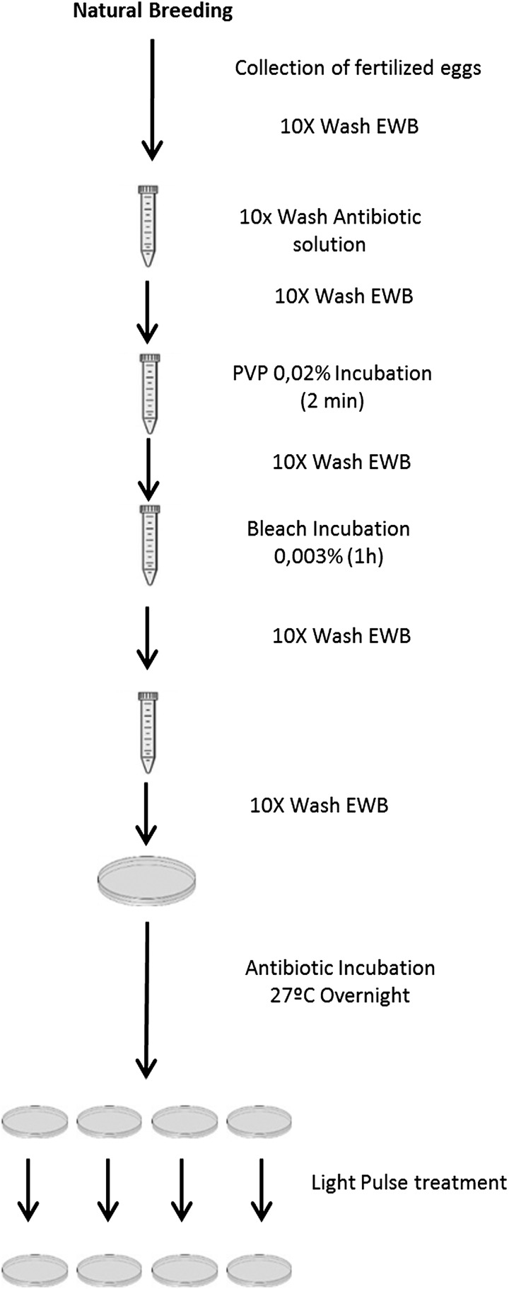 FIG. 1.