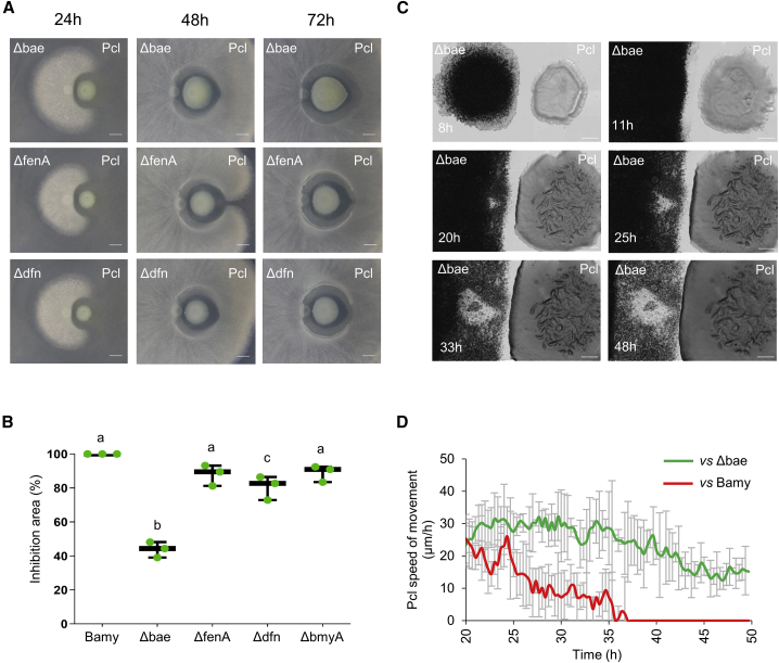 Figure 3