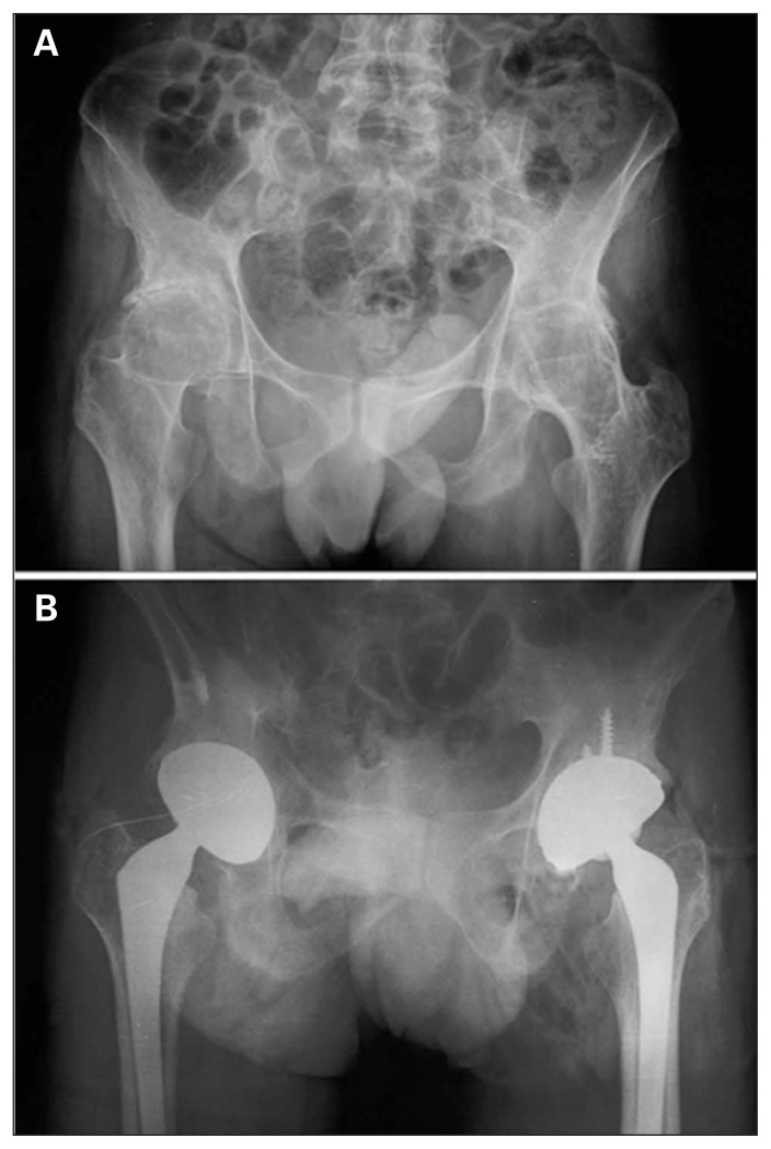 Fig. 5