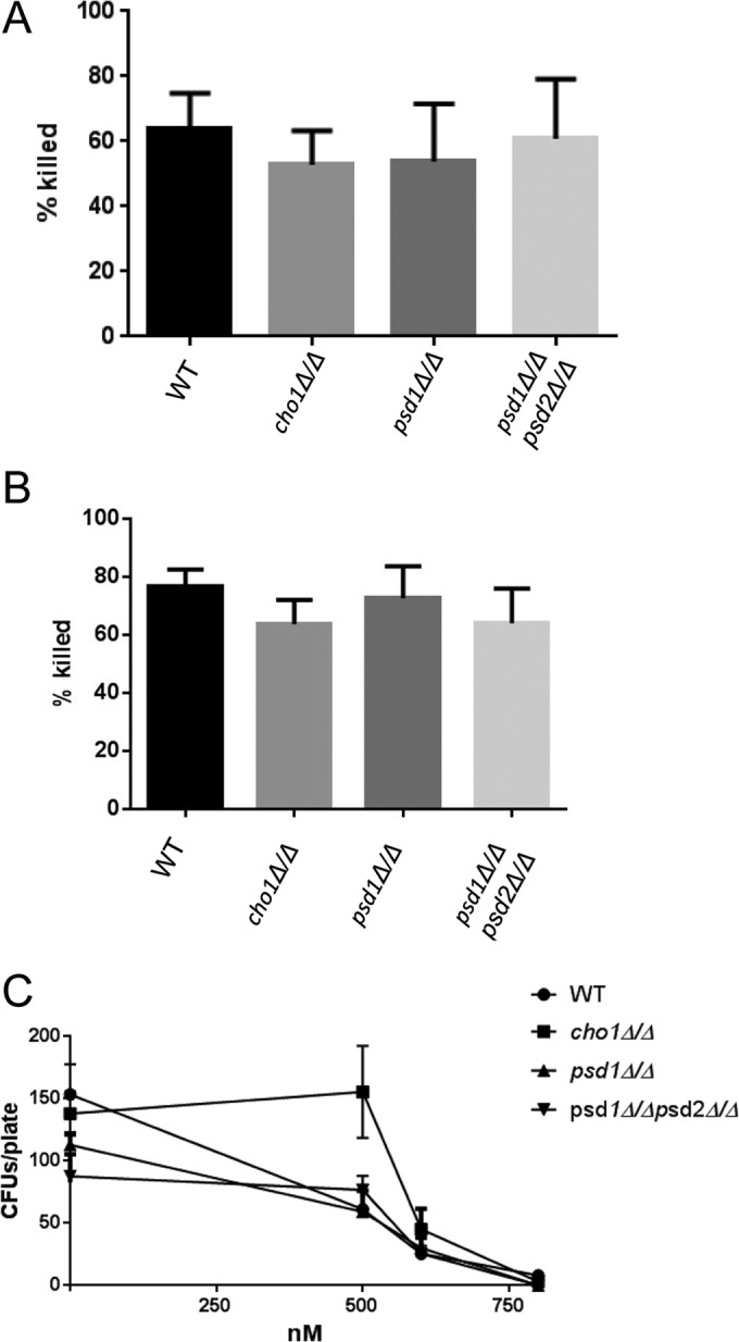 FIG 5