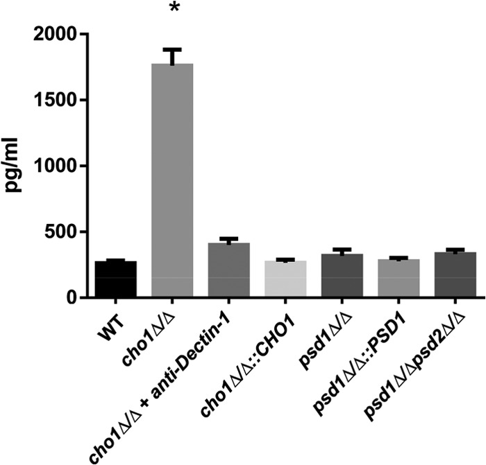 FIG 6