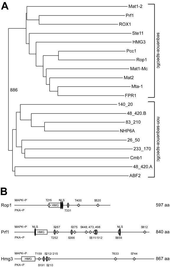 FIG.1.