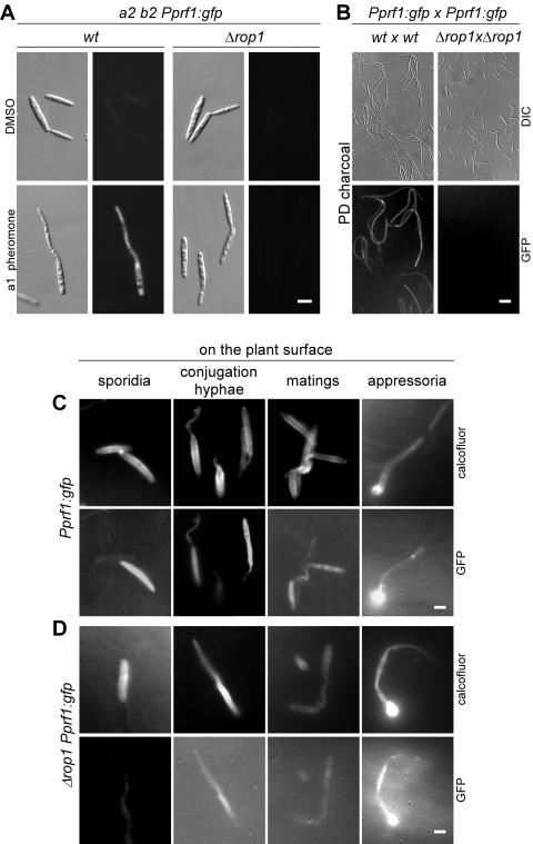 FIG. 7.