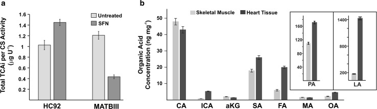 Fig. 6