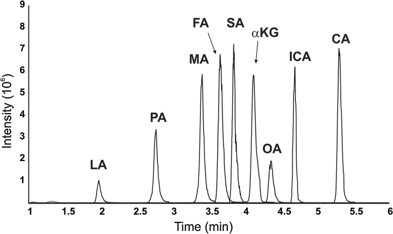 Fig. 2