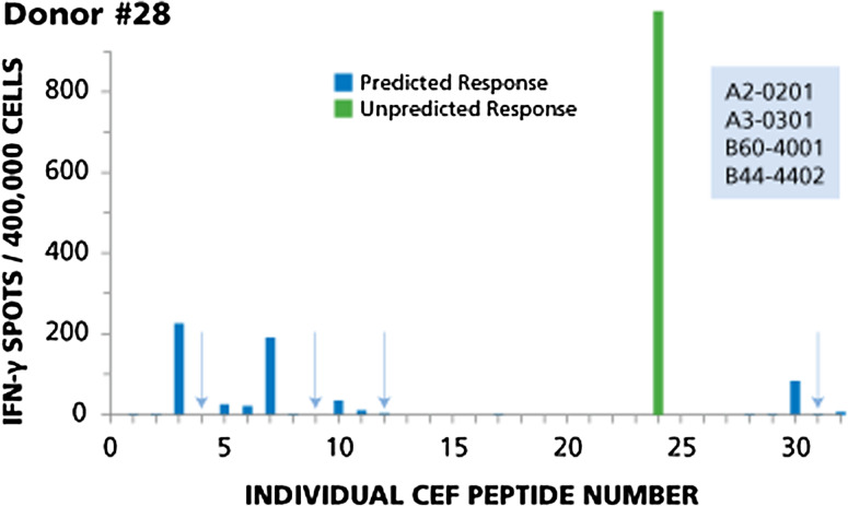 Fig. 2