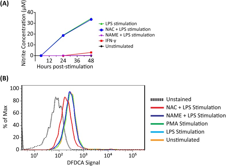 Figure 2—figure supplement 1.