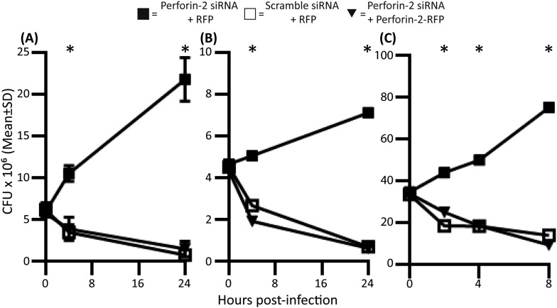 Figure 3—figure supplement 1.