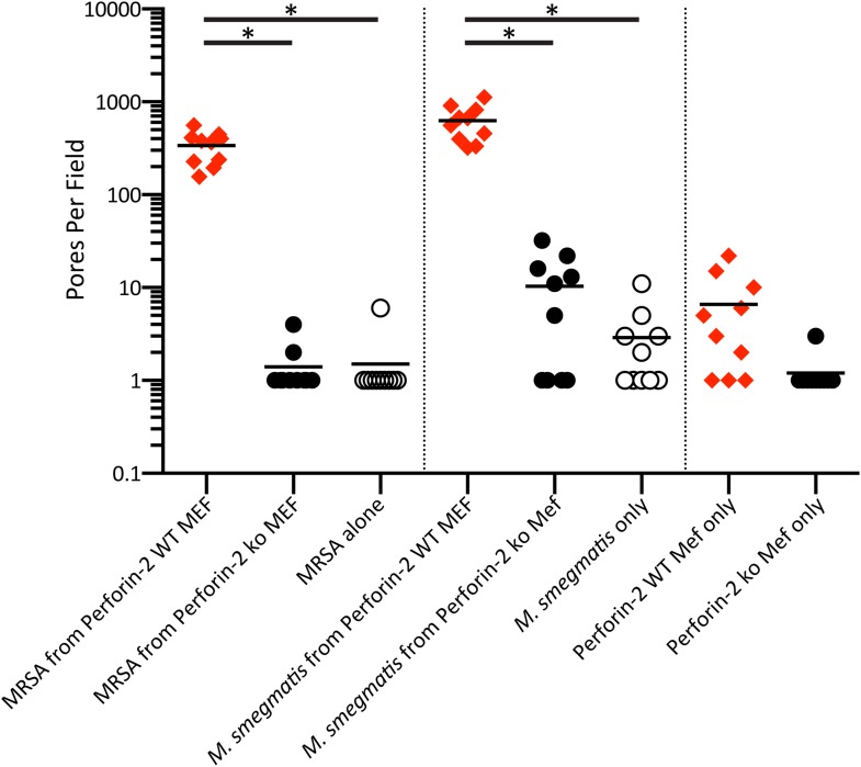 Figure 5—figure supplement 1.