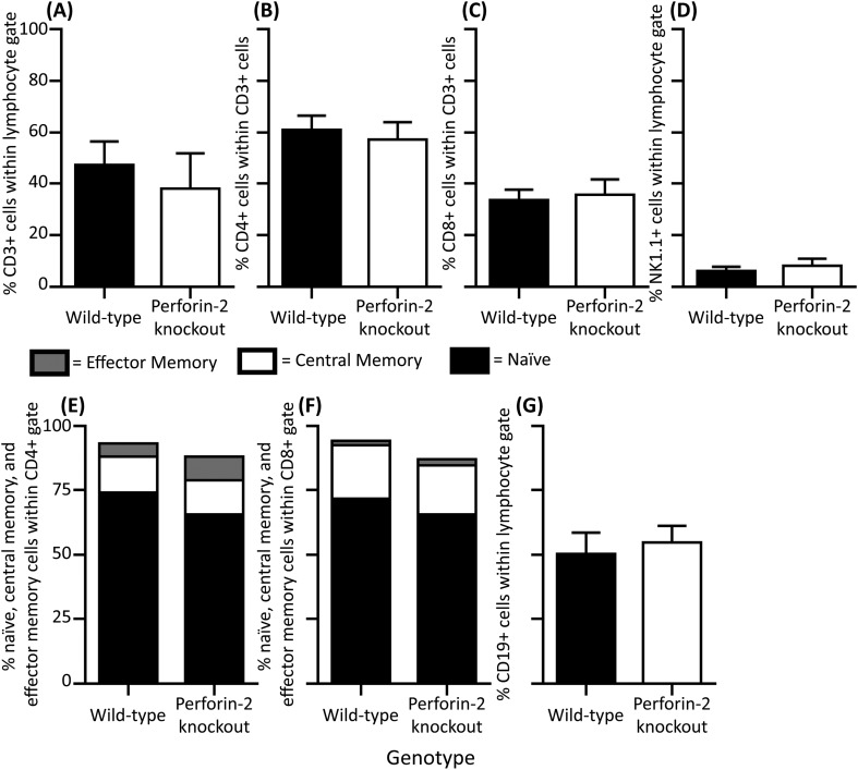 Figure 7—figure supplement 1.