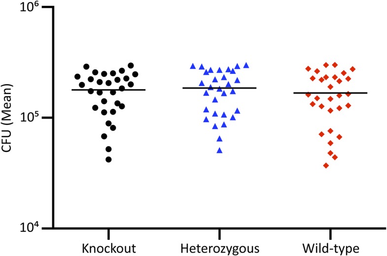 Figure 8—figure supplement 2.