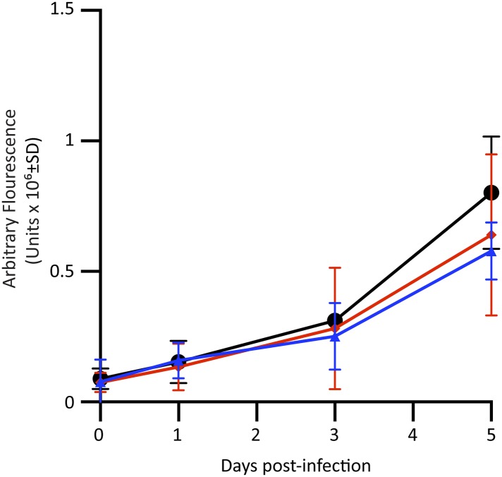 Figure 1—figure supplement 2.