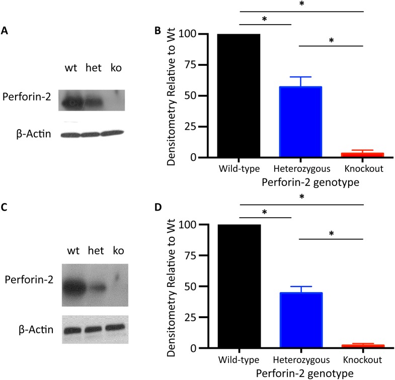 Figure 1—figure supplement 1.