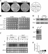 FIG 2