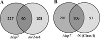 FIG 6