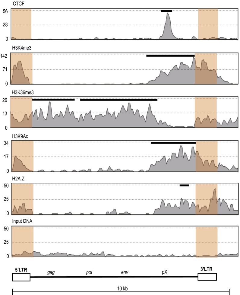 Fig. 3.