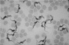 FIG. 5.