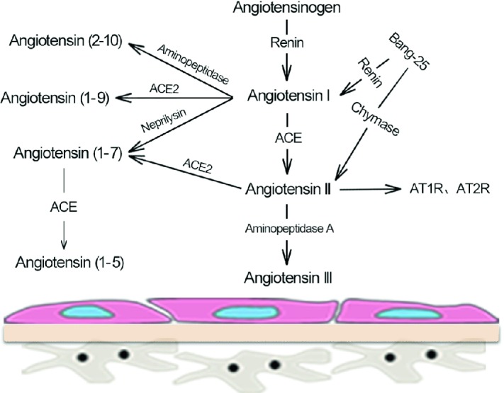 Fig. 10.2