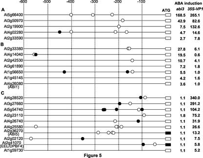 Figure 5.