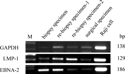 Fig. 6