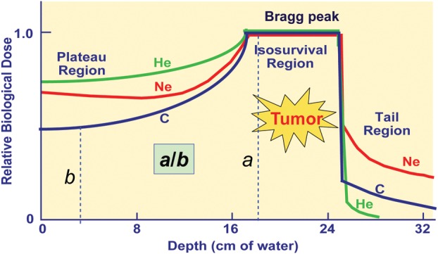 Figure 1.