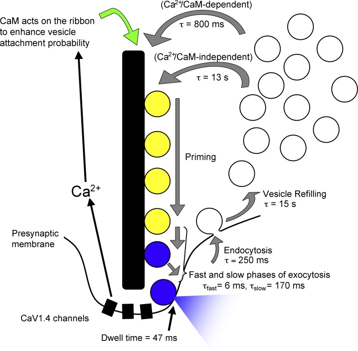 Figure 10.